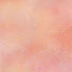 Meet your Posher, Abigail